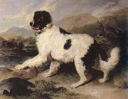 Sir Edwin Landseer lion a newfoundland dog china oil painting reproduction